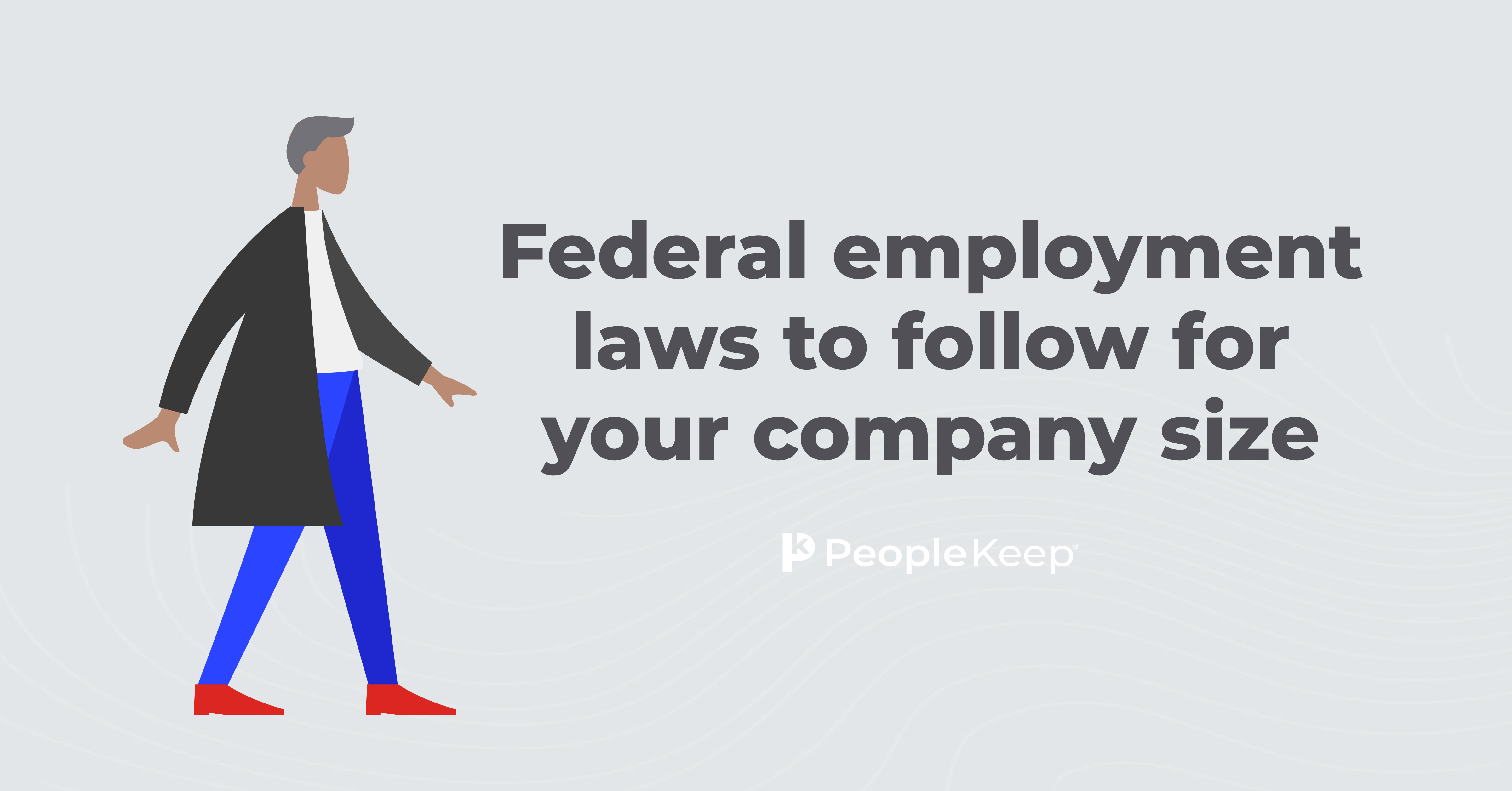 federal-employment-laws-to-follow-for-your-company-size